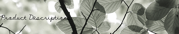 http://yutakis.files.wordpress.com/2009/10/leafs_by_yugamilight.jpg?w=600